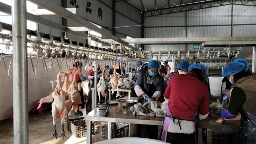 微信图片_20200225103905 微信图片_20200225103905