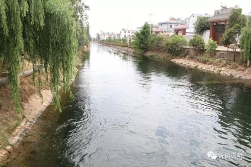微信图片_20200310154358 微信图片_20200310154358
