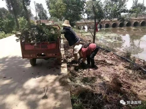 微信图片_20200310154409 微信图片_20200310154409