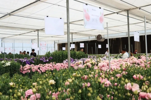 微信图片_20210428104903 微信图片_20210428104903